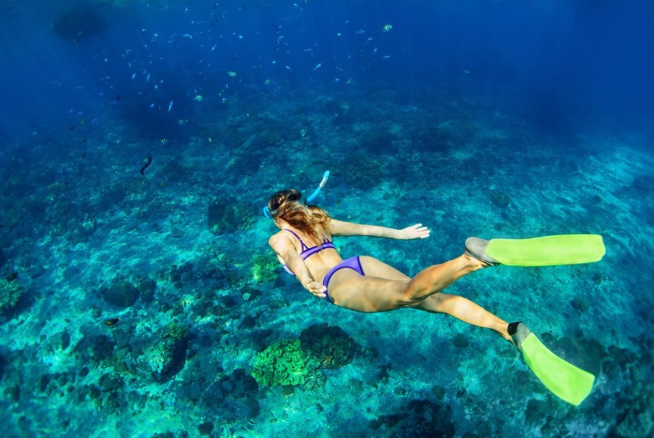 Guided Shore Snorkelling at Nemo Beach