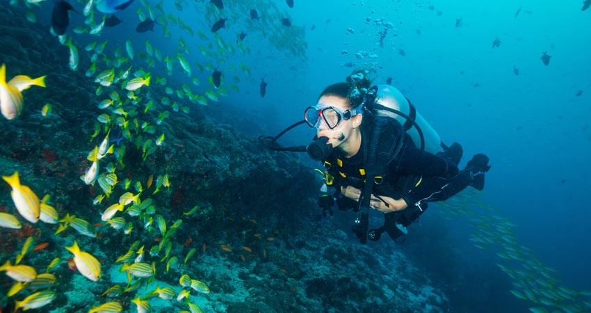 PADI Discover Scuba Diving Program (Boat) in Havelock Island