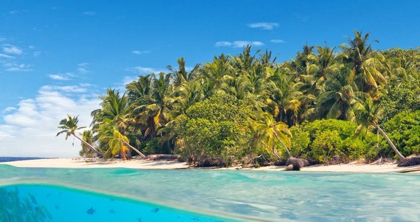 Boat Dive (DSD - Discover Scuba Dive, PADI Program) in Havelock Island