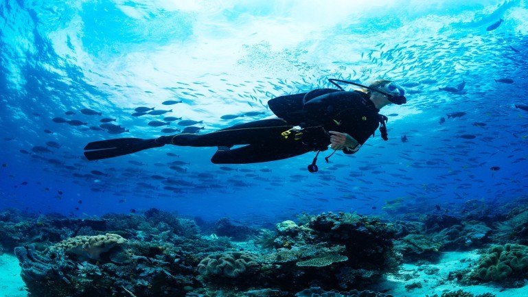 4 Dives Scuba Diving Packages in Havelock Island