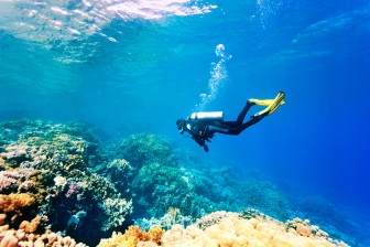 6 Dives Scuba Diving Packages in Havelock Island