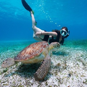 Deep sea Snorkelling at Elephant Beach
