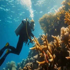 Shore Dive (Discover Scuba Dive, PADI Program) in Havelock Island