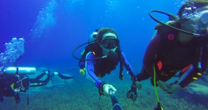 PADI Open Water Course in Havelock Island