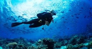 PADI Rescue Diver Course in Havelock Island