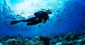 PADI Rescue Course in Neil Island