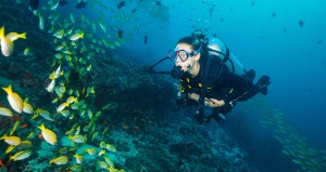 Drift Dive Specialty in Havelock Island