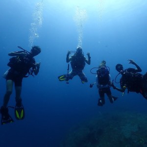 Shore Dive (Try Dive) in Havelock Island