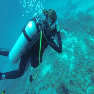 Boat Dive (DSD - Discover Scuba Dive, PADI Program)