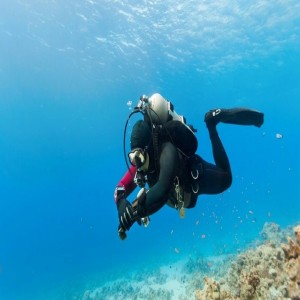Snorkelling At Neil Island By Boat