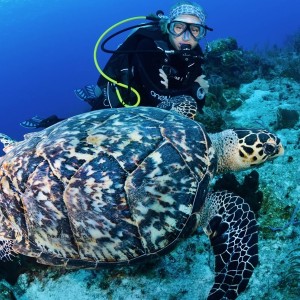 Boat Diving At Turtle Beach (DSD - Discover Scuba Dive, PADI Program)