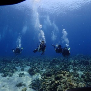 Deep Sea Snorkelling At Elephant Beach (Swaraj Dweep) At Shore